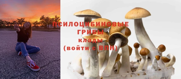 стаф Богородск