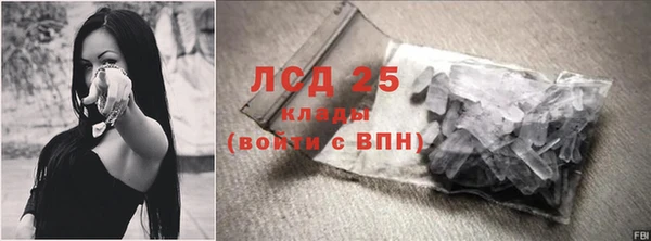 стаф Богородск