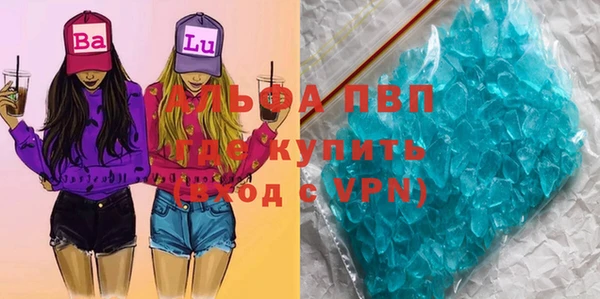 амф Богданович