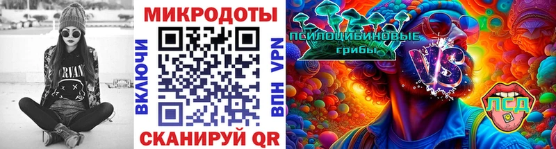 Псилоцибиновые грибы Psilocybe  omg ССЫЛКА  Мегион  что такое наркотик 